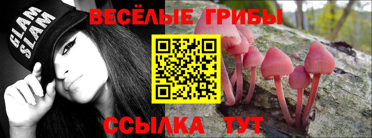 Людиново  Псилоцибиновые грибы ЛСД  Псилоцибиновые грибы прущие грибы  Вход с VPN 
